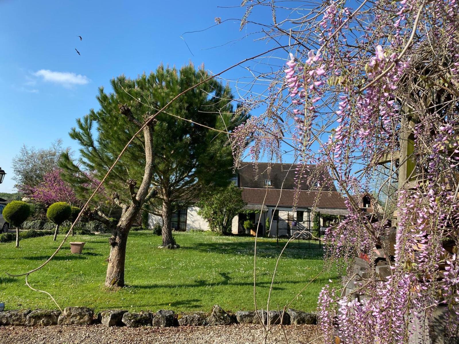 Gite Et Studios Les Barongeres Farges-les-Chalon Exterior foto