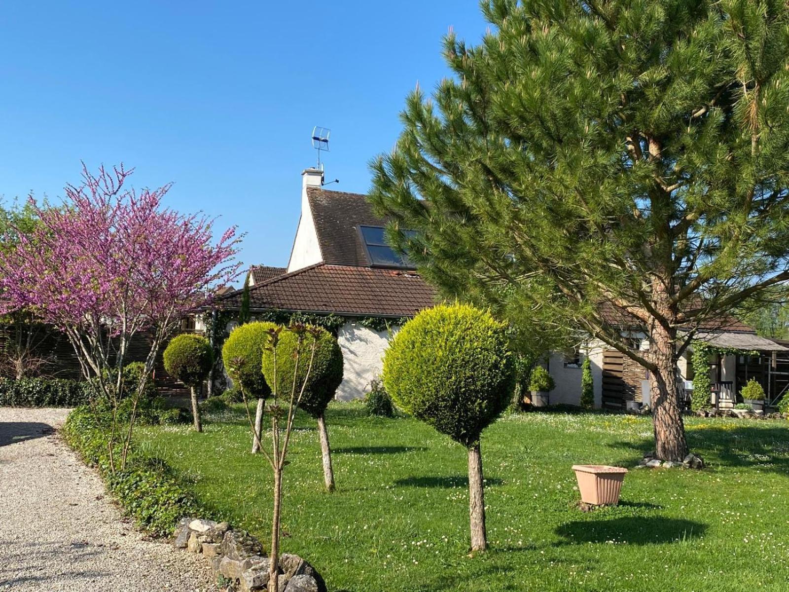 Gite Et Studios Les Barongeres Farges-les-Chalon Exterior foto