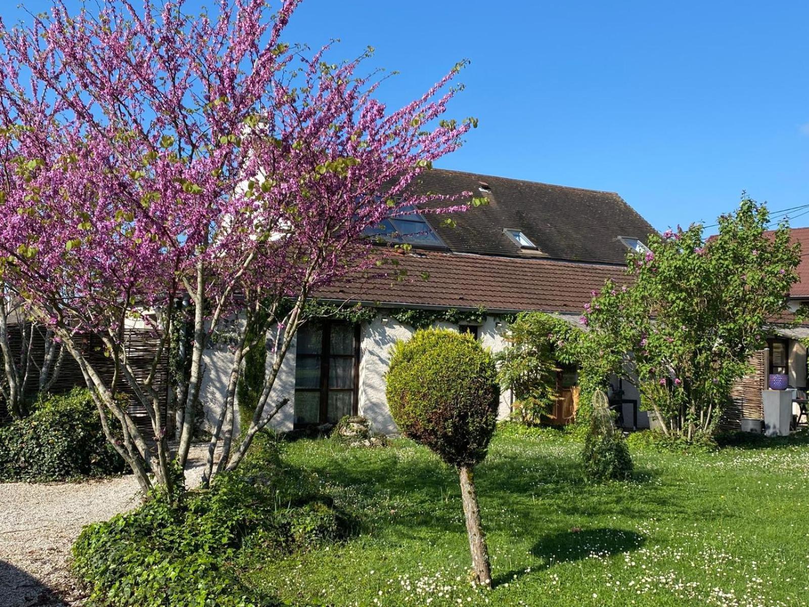 Gite Et Studios Les Barongeres Farges-les-Chalon Exterior foto